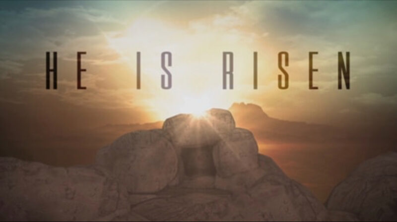 16E039EA-218E-46AB-9A6C-94C12AFE6ED0