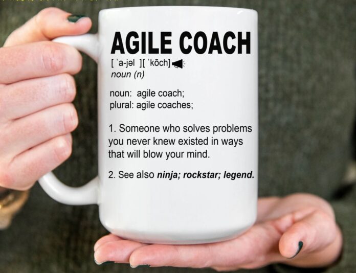 Agile Coach