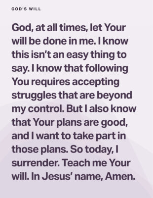 6F09287B-43FB-45B6-BBA9-D4298A4B9ED6