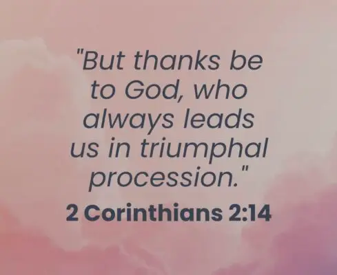 3c44abbb-78fc-40dd-b70b-c1cd6ea0f12a