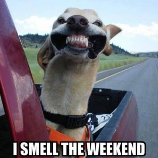 i-smell-happy-friday-meme