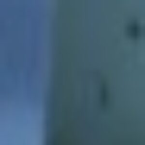 Profile photo of Dharmesh K