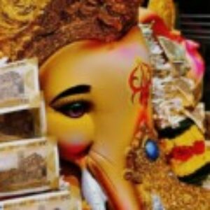 Profile photo of bunnybandaru